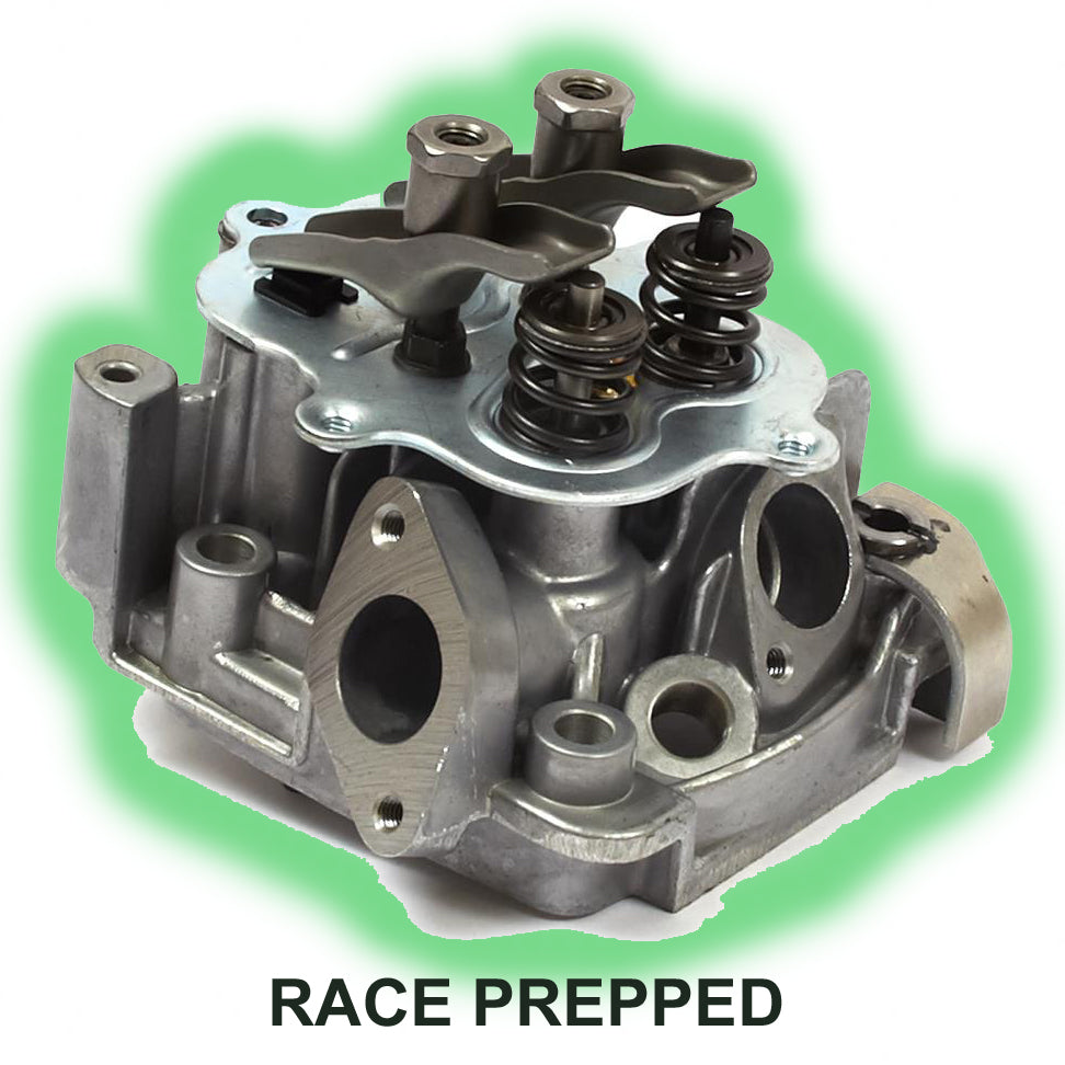 Briggs & Stratton Lo206 Cylinder Head Box Stock 555635 (RACE PREPPED)