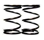 Predator 212 Hemi 10.8 Legal Valve Spring Pair - Two Piece DCS-BSH-M