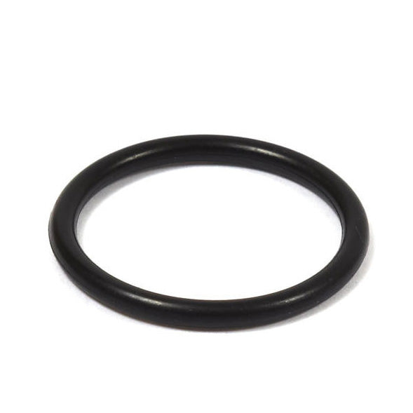 Briggs Lo206 / Animal carburetor to intake o-ring seal. 555601