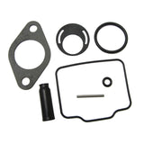 Briggs & Stratton Lo206  / Animal Carburetor Rebuild kit Walbro - PZ22 555605