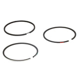 Briggs Lo206, Animal, WF Stock Piston Rings for Bore 2.688 (.010 Over) 555665