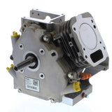 Briggs Lo206, Animal, Replacement Sealed Short Block 555715