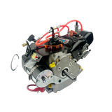 Briggs World Formula Jr Sprint Race Prepped Engine