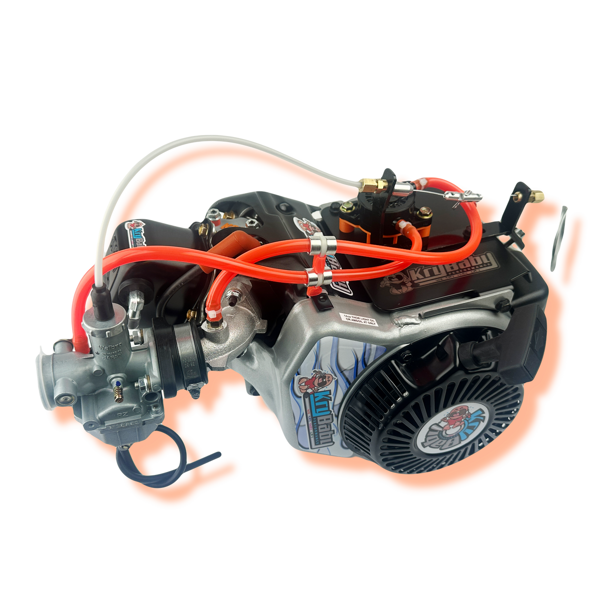 Briggs World Formula Jr Sprint Race Prepped Engine