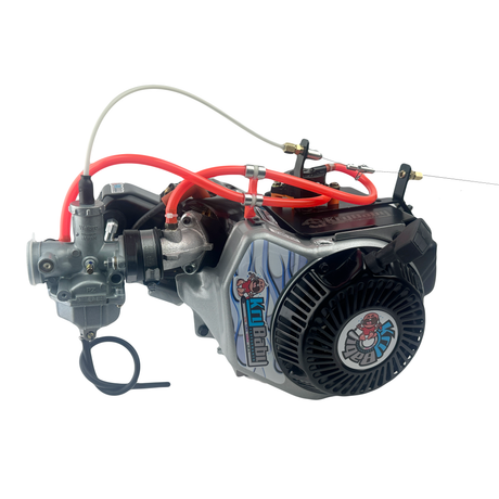 Briggs World Formula Jr Sprint Race Prepped Engine